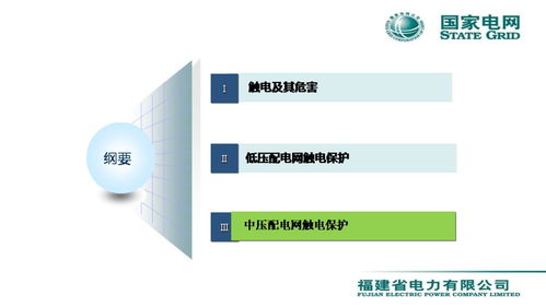 配電網(wǎng)觸電保護(hù)技術(shù)與網(wǎng)絡(luò)技術(shù)服務(wù)融合創(chuàng)新——李天友會(huì)議報(bào)告綜述